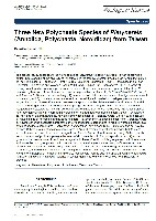 和美闊沙蠶藏品圖，第9張