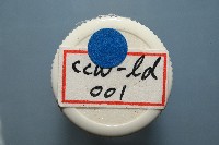 和美闊沙蠶藏品圖，第10張