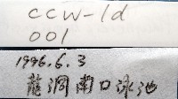 和美闊沙蠶藏品圖，第11張