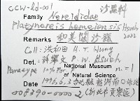 和美闊沙蠶藏品圖，第12張