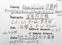基翬闊沙蠶藏品圖，第12張