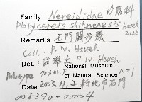 石門闊沙蠶藏品圖，第10張