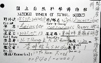 厚革滑皮海星藏品圖，第16張