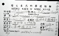 卵圓斜海膽藏品圖，第12張