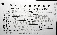 蜈蚣櫛蛇尾藏品圖，第12張