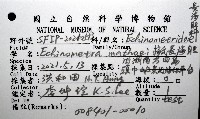 梅氏長海膽藏品圖，第12張