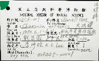 大法螺藏品圖，第12張