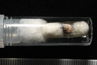 景林核螺藏品圖，第6張
