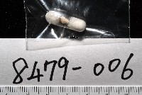 景林核螺藏品圖，第7張