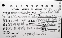 景林核螺藏品圖，第8張