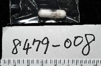 峙曄核螺藏品圖，第7張