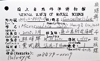 千旺核螺藏品圖，第8張