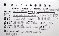 東海花冠螺藏品圖，第12張