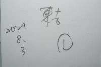 未知種黑樹角珊瑚藏品圖，第7張