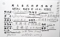 未知種真網柳珊瑚藏品圖，第8張