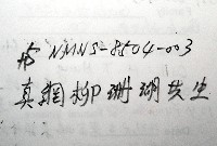 未知種鎧甲蝦藏品圖，第6張