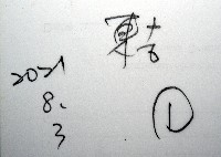 未知種鎧甲蝦藏品圖，第7張
