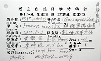 單鏈蛇星(珠鏈單鰓海星)藏品圖，第8張