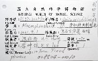 未知種大刺蛇尾藏品圖，第12張