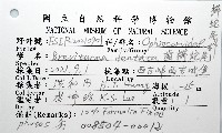 齒櫛蛇尾藏品圖，第8張