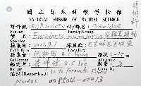 冠棘真頭帕海膽藏品圖，第16張