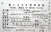 輪替海齒花藏品圖，第12張