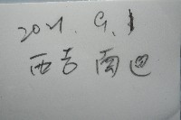 舒維亞海齒花藏品圖，第8張