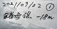 未知種真網柳珊瑚藏品圖，第7張