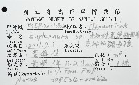 未知種真網柳珊瑚藏品圖，第8張