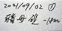 未知種海綿藏品圖，第7張