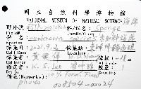 未知種海綿藏品圖，第8張