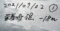 未知種陽燧足藏品圖，第11張