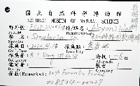 未知種指形軟珊瑚藏品圖，第8張