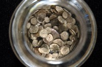 馬氏海錢(馬氏扣海膽)藏品圖，第6張