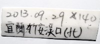 馬氏海錢(馬氏扣海膽)藏品圖，第7張