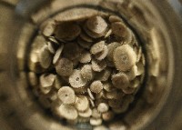 馬氏海錢(馬氏扣海膽)藏品圖，第5張