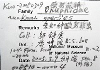 未知種歐努菲蟲藏品圖，第12張