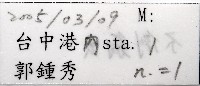 未知種不倒翁蟲藏品圖，第3張