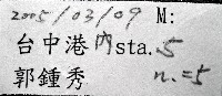 未知種不倒翁蟲藏品圖，第7張