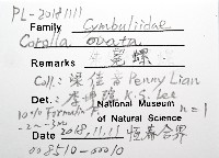 冕螺藏品圖，第12張