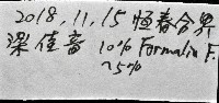 未知種手魷藏品圖，第10張