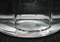 未知種多鱗蟲藏品圖，第10張