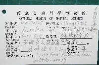 未知種海月水母藏品圖，第8張