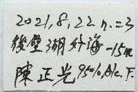 扁仙壺海膽藏品圖，第7張