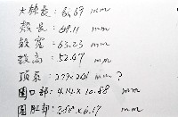 中華釜海膽藏品圖，第15張