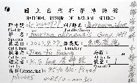中華釜海膽藏品圖，第16張