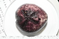 心形緣帶海膽藏品圖，第16張