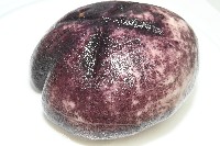 心形緣帶海膽藏品圖，第18張