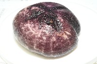 心形緣帶海膽藏品圖，第20張