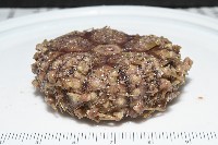 裸隱肛海膽藏品圖，第6張